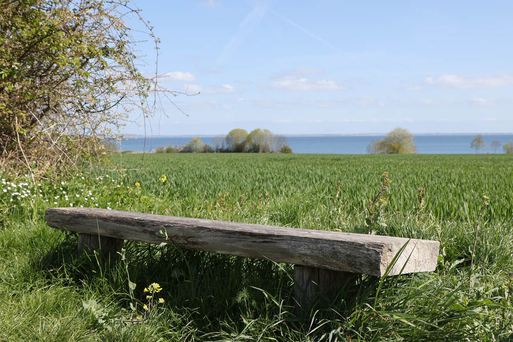 Landhaus Hoheluft Umgebung (12)